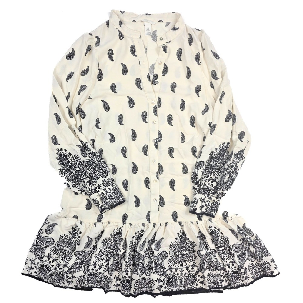 H&M Ivory Paisley Drop Waist Chiffon Long Sleeve Dress Women's Size Medium